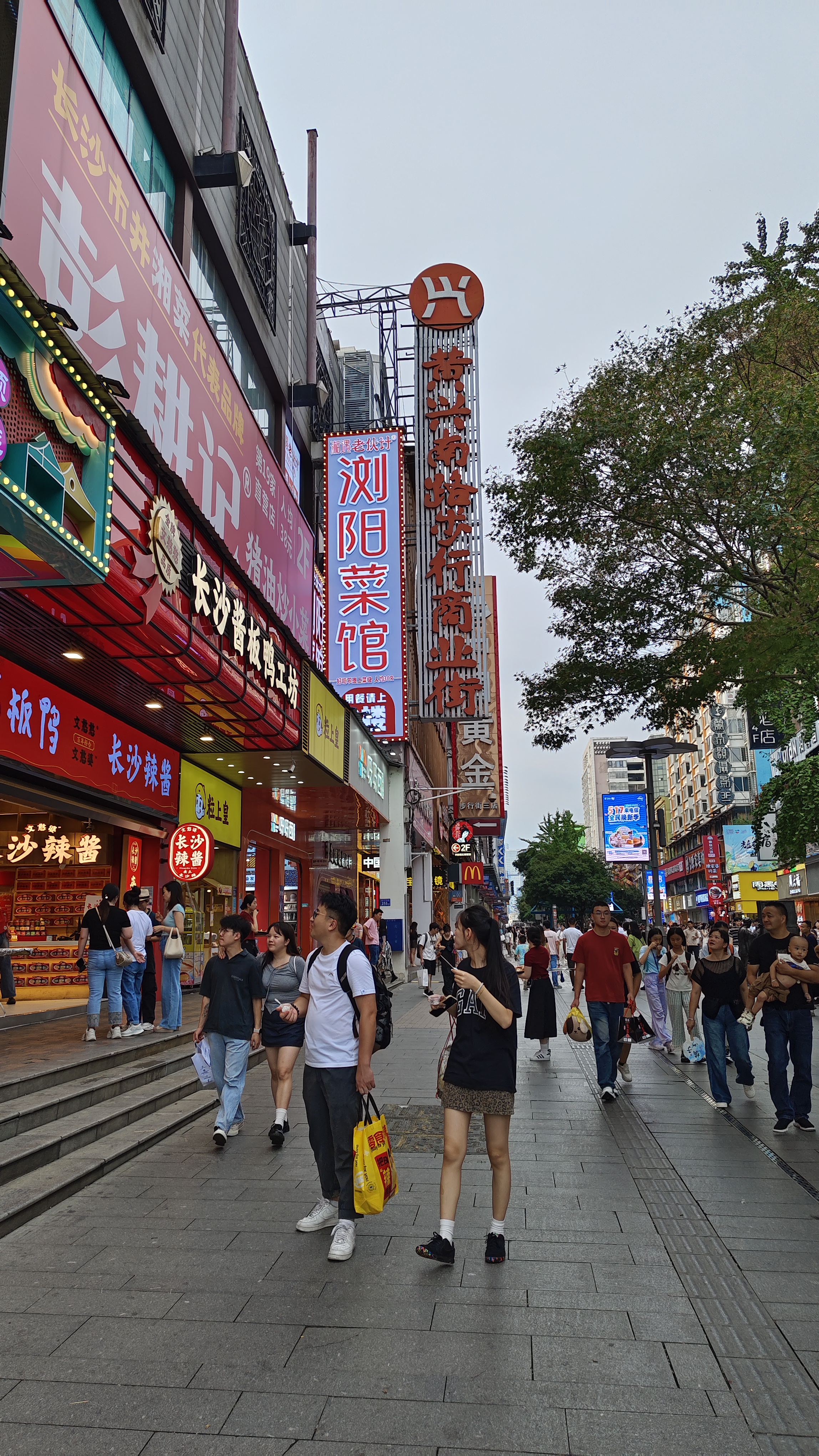 因为想要白嫖她美貌的人非常多,会干扰她正常的成长