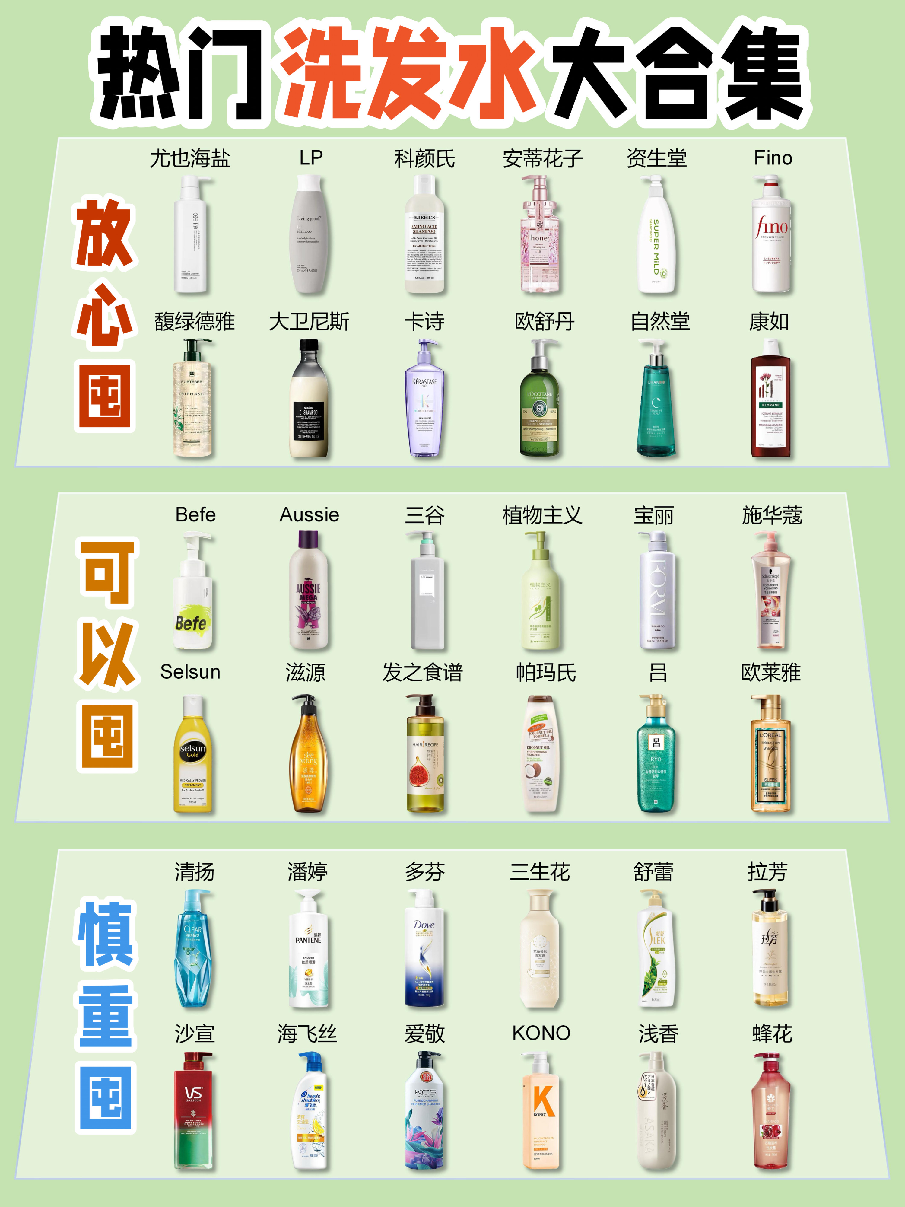 热门洗发水合集