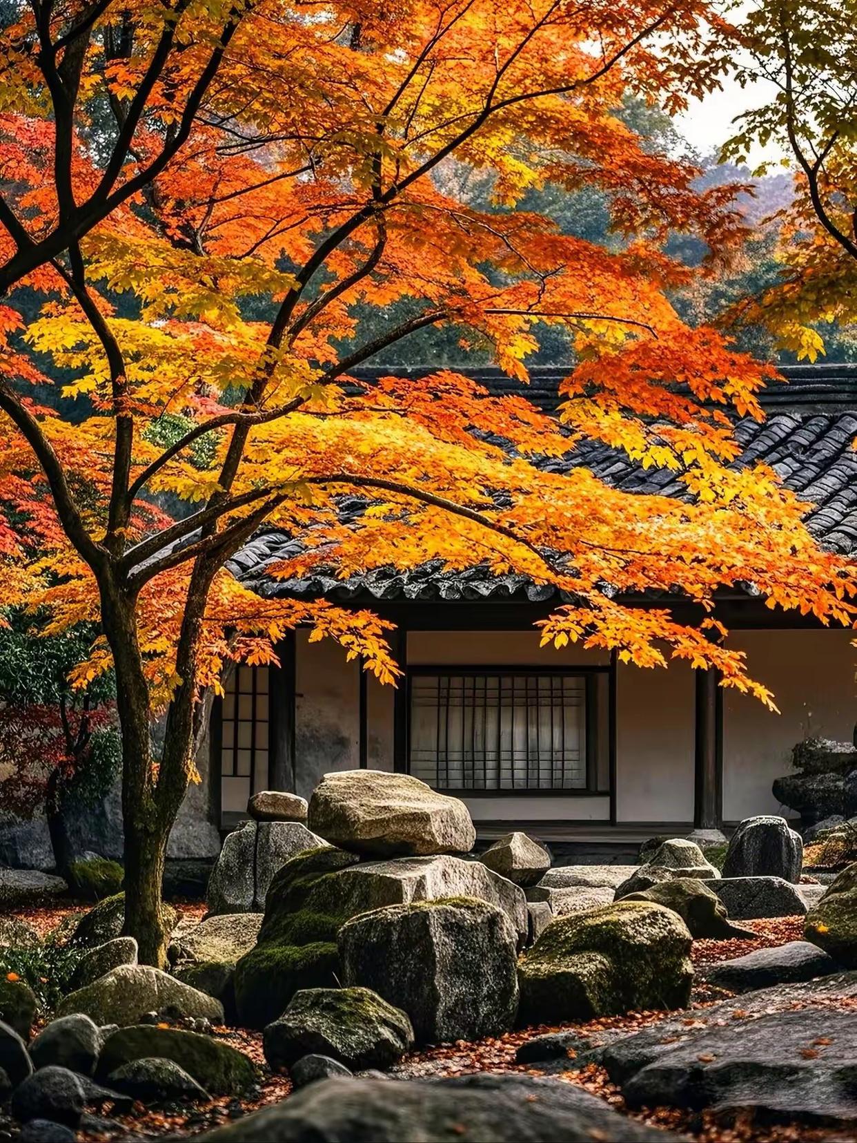 古风庭院里,落叶静静地铺满了青石小路,仿佛一幅美丽