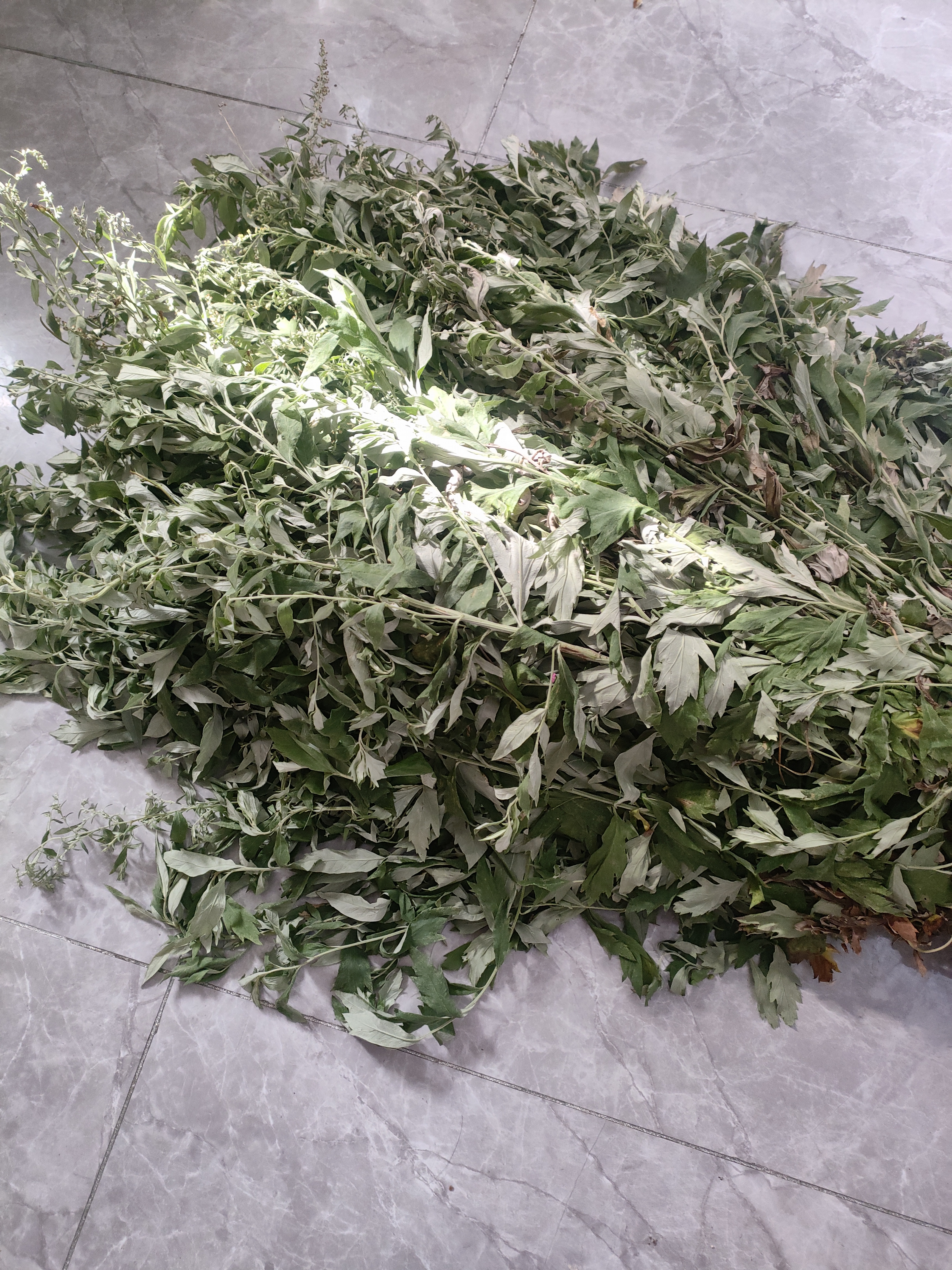 这个有什么作用,大家应该不陌生吧?这十元钱买来的,不贵吧[嘻嘻]