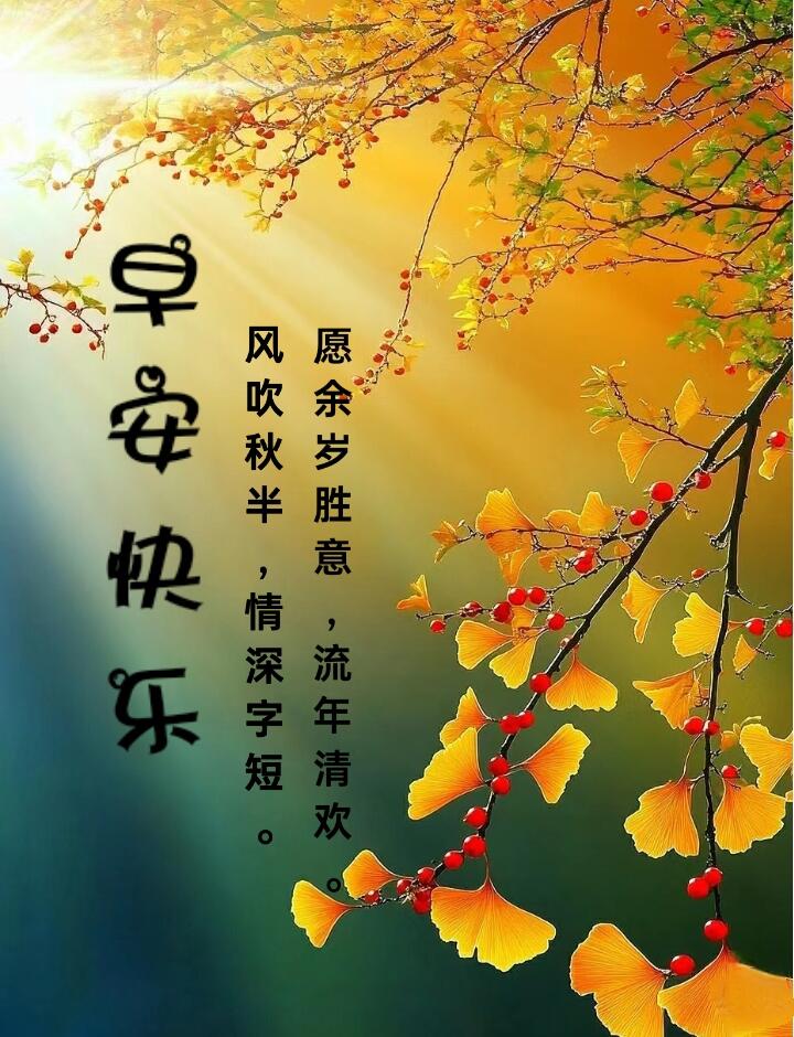 在这金风送爽的日子里,落叶如诗,片片飞舞