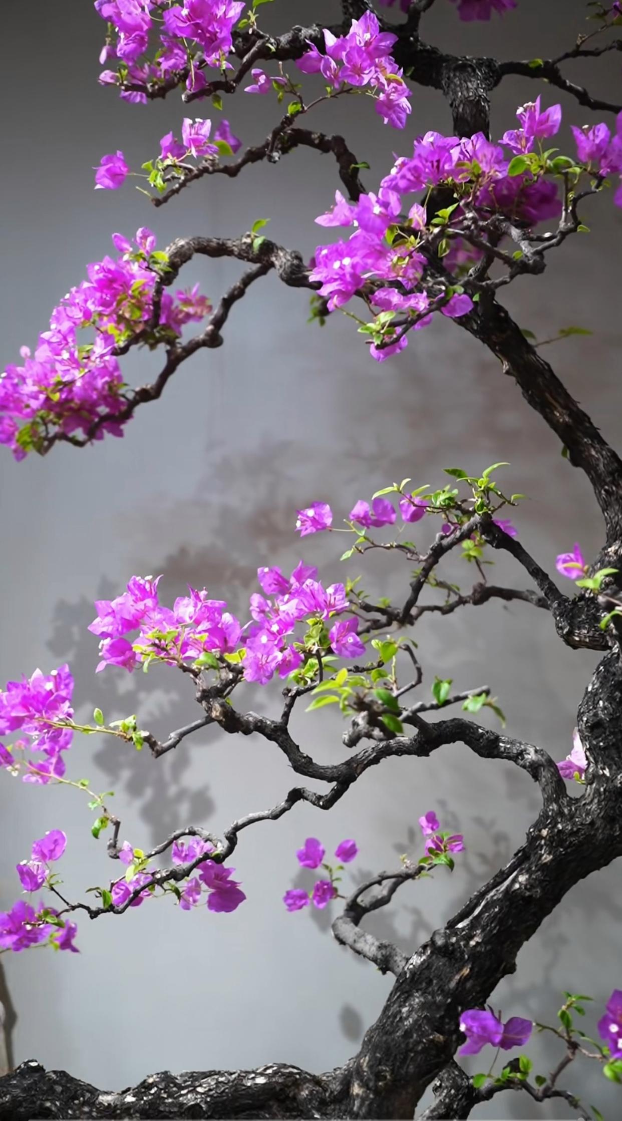花般绽放是什么意思(如花般绽放是什么意思)
