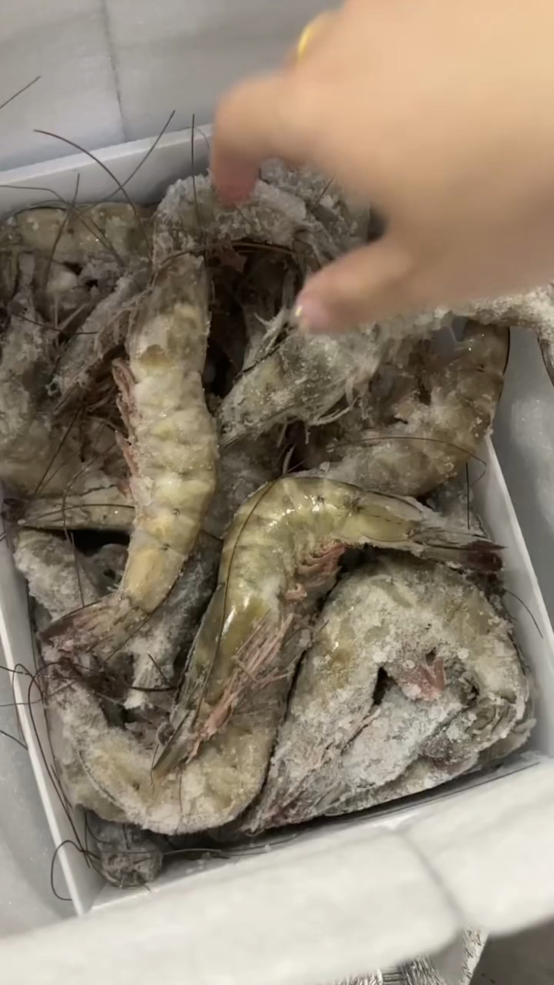 爱吃虾的宝子们,强烈推荐这款海水虾,肉质鲜甜,紧实有嚼劲