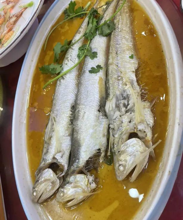 这是什么鱼啊这么贵,吃起来味道跟普通鱼差不多的,她是不是骗我的