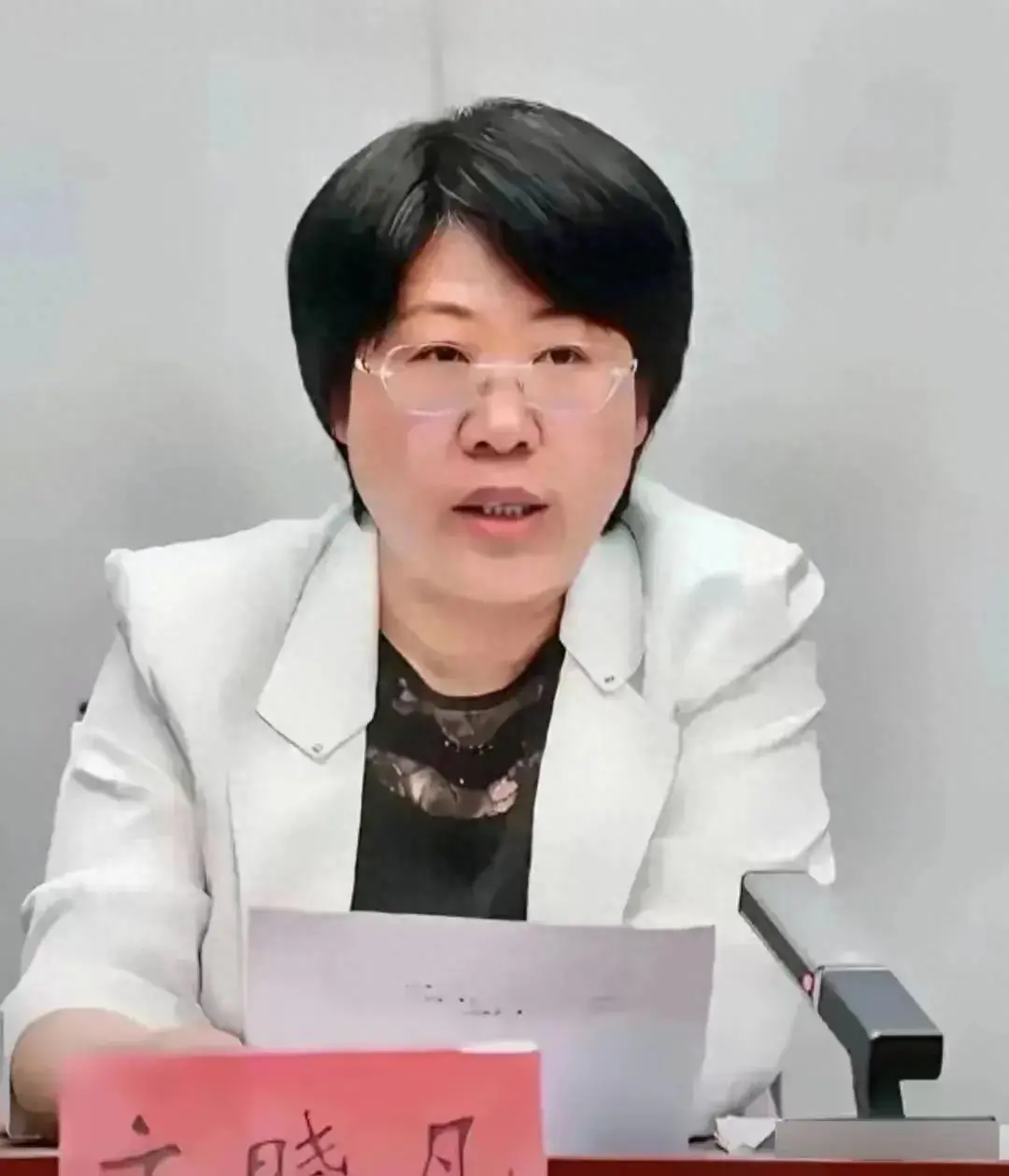 叶县领导文晓凡亲赴一线回应"果园争议":法律遵循不容置疑