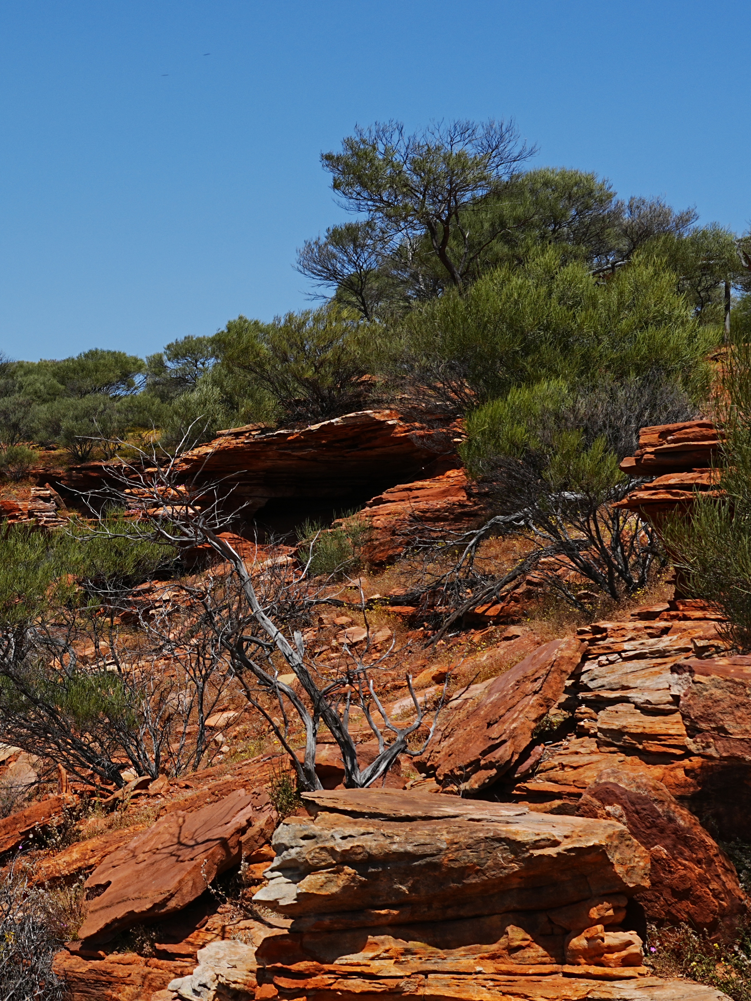世界之窗 绝美之地 西澳的一个自然景观,当步入卡尔