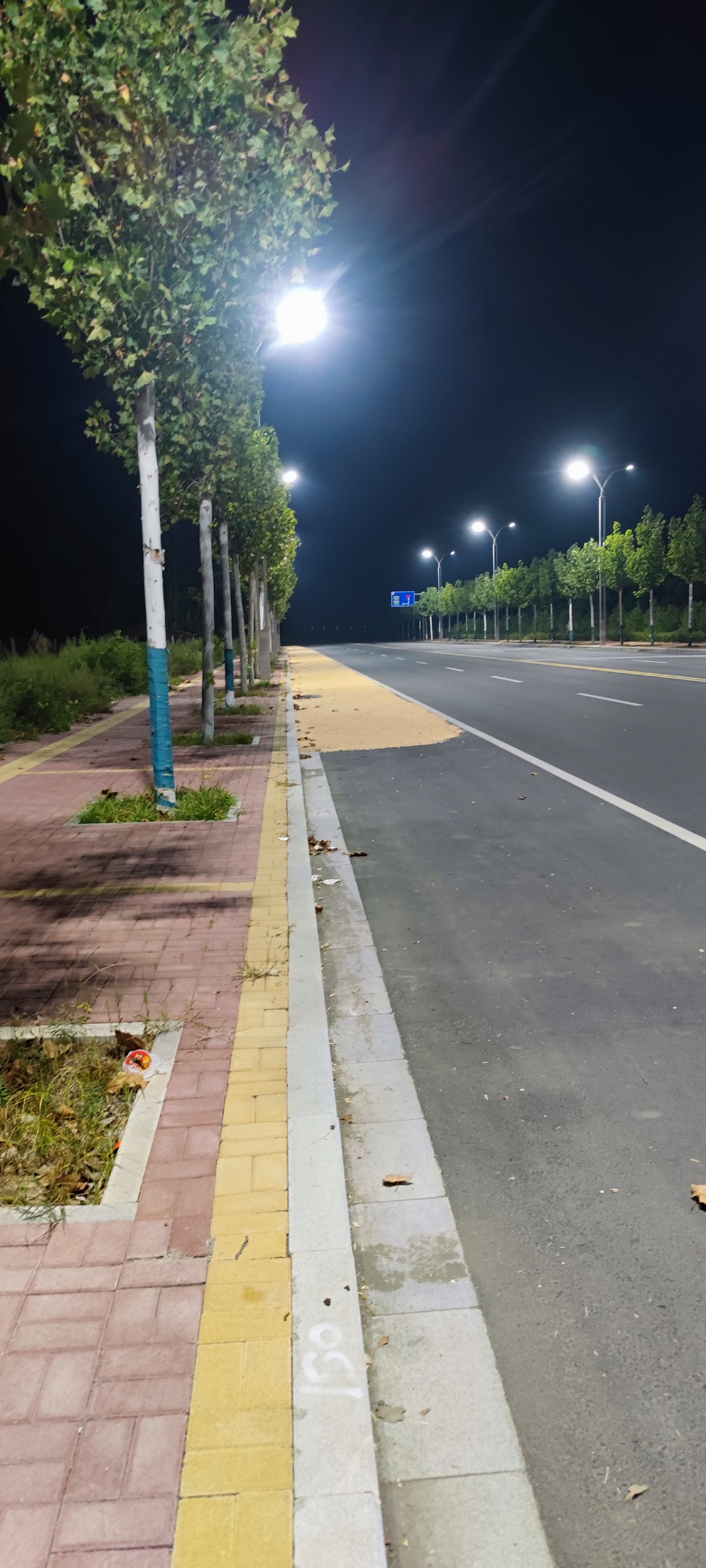 金秋动态创作赛#