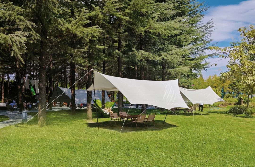 西安藏品级"山河庄园"诞生了