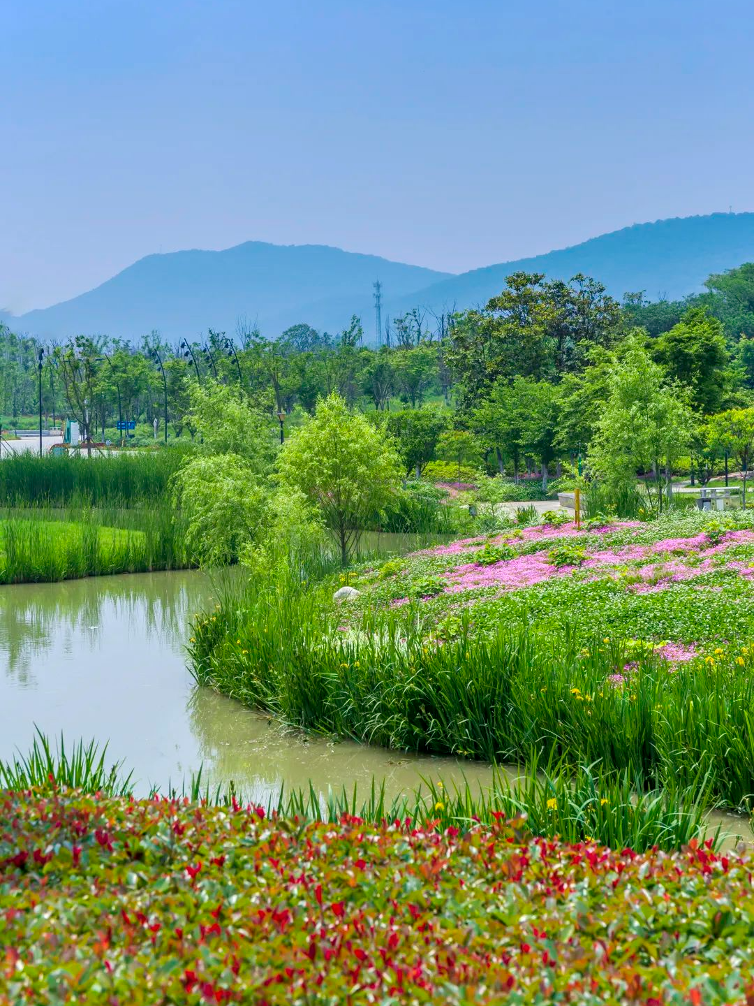 南京浦口浅山休闲公园图片