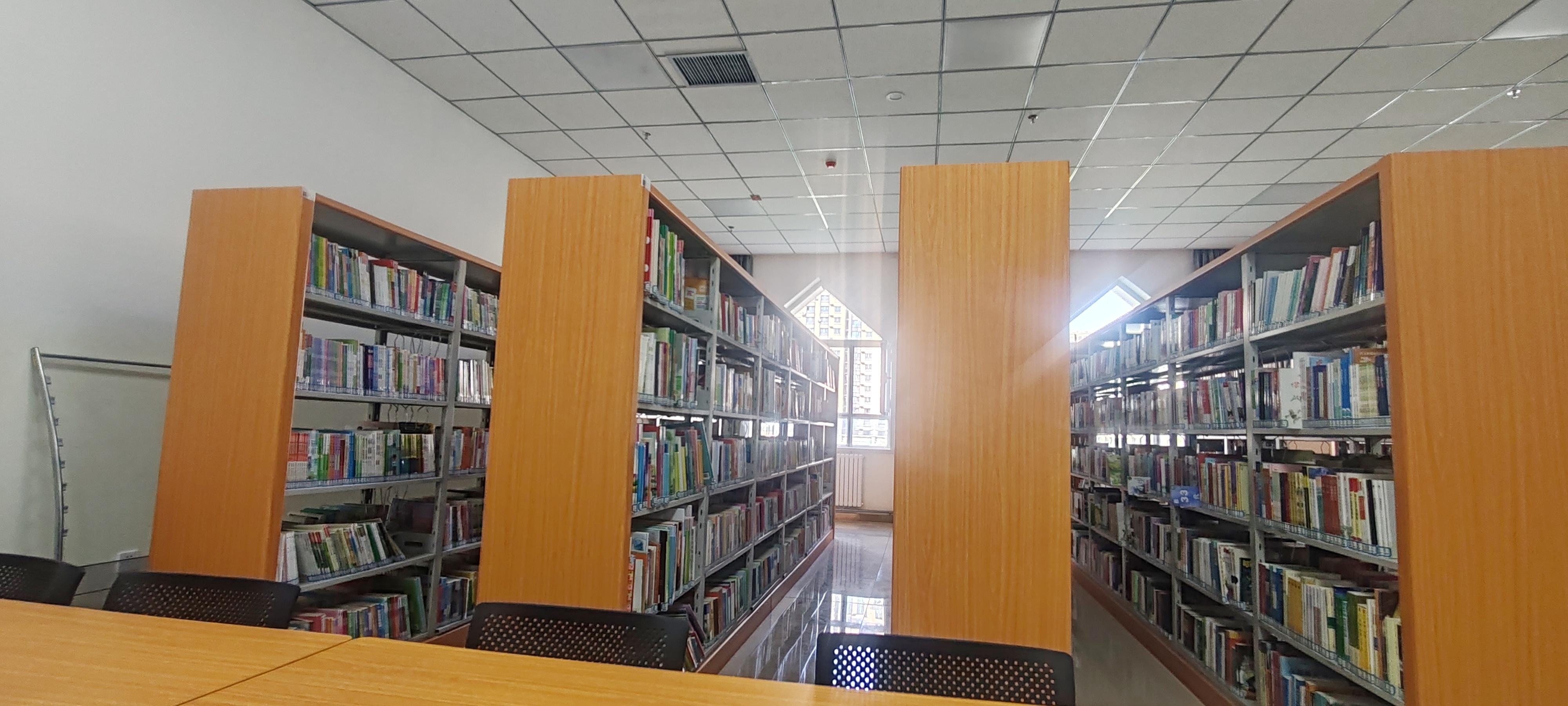 图书馆左侧数第二个书架左边的书籍照片