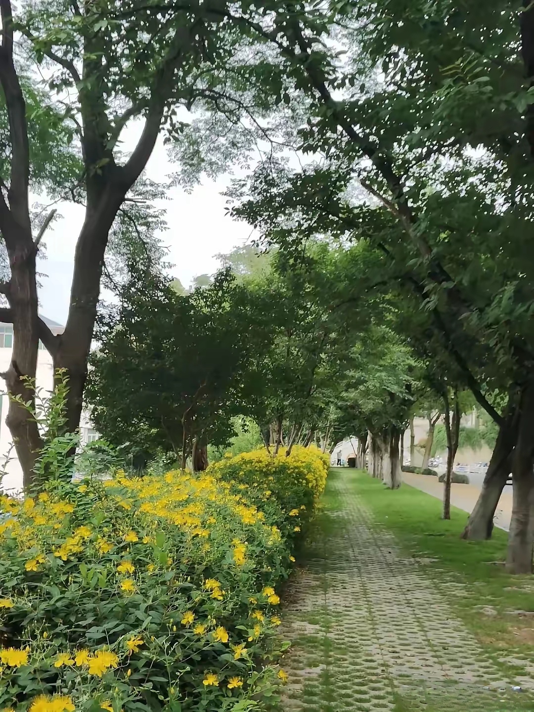 退休了在东北林区居住生活相当于移民加拿大多伦多