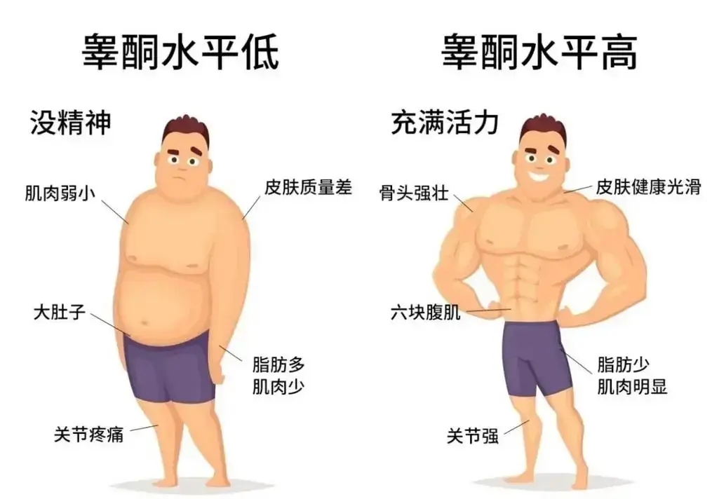 "好男一身毛,好女一身膘?医生:有一定科学道理,一文讲清楚