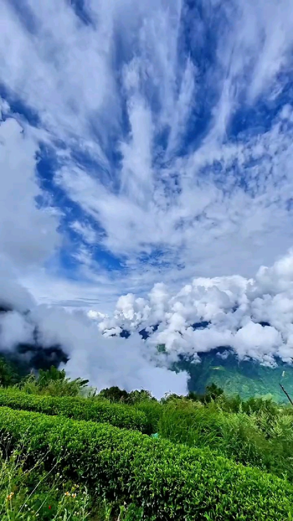 墨脱云海图片