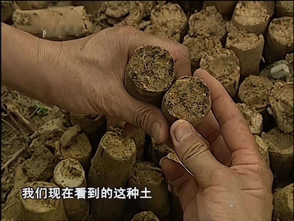 青膏泥白膏泥图片