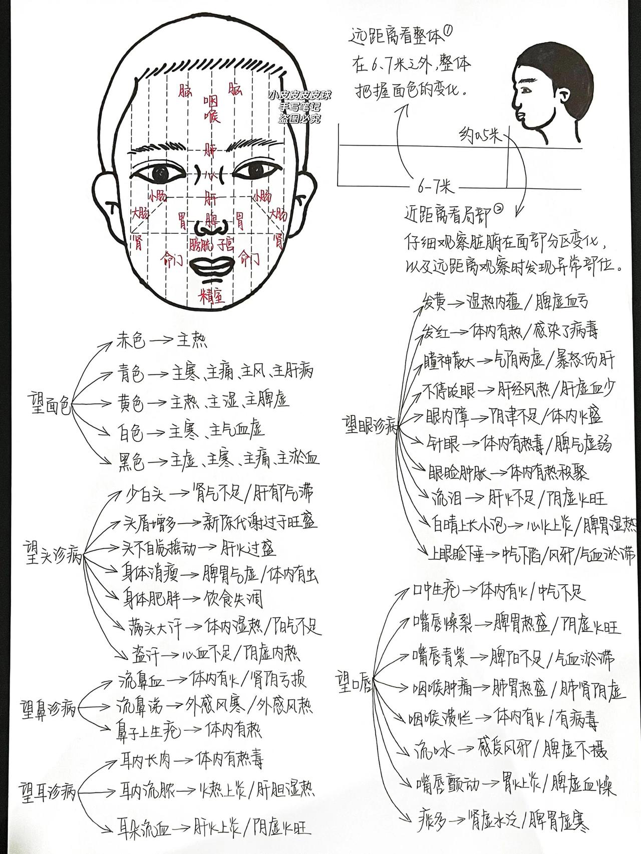 脑门位置图片