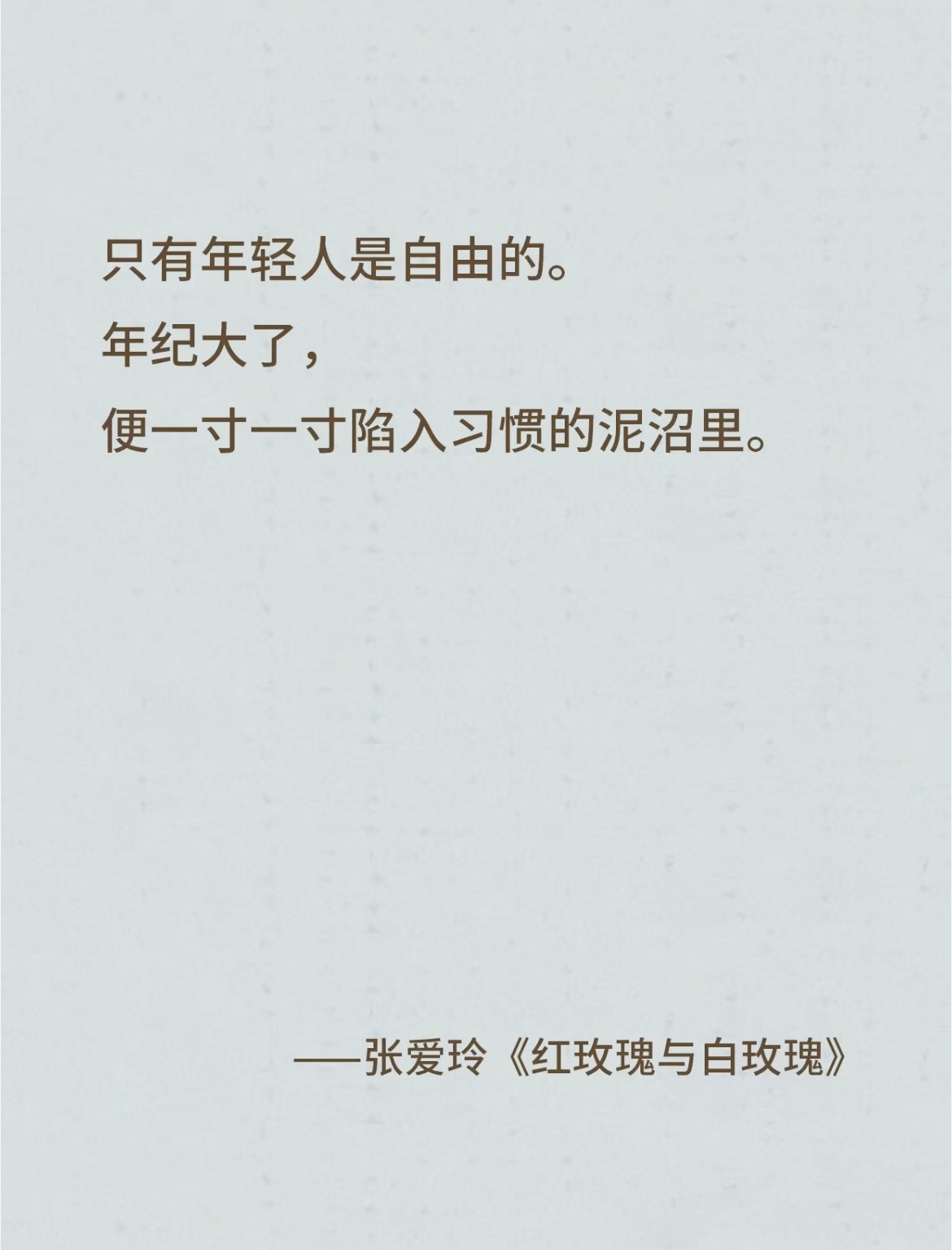 《红玫瑰与白玫瑰》精华语录