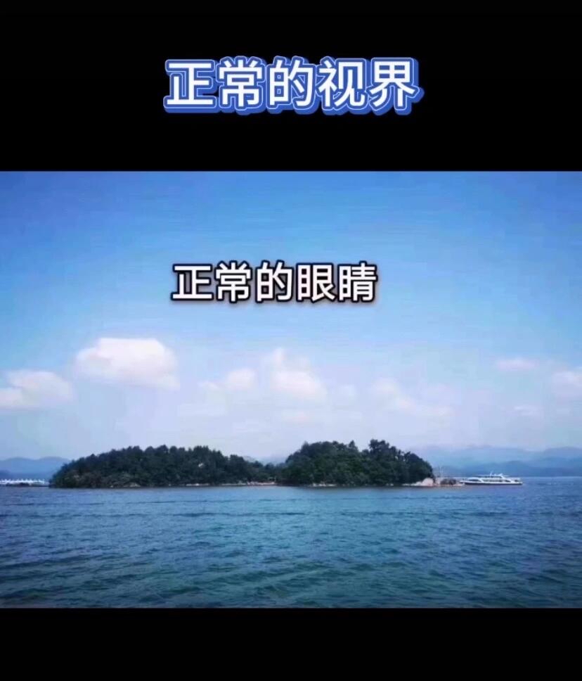 脸盲症人眼中的世界图片