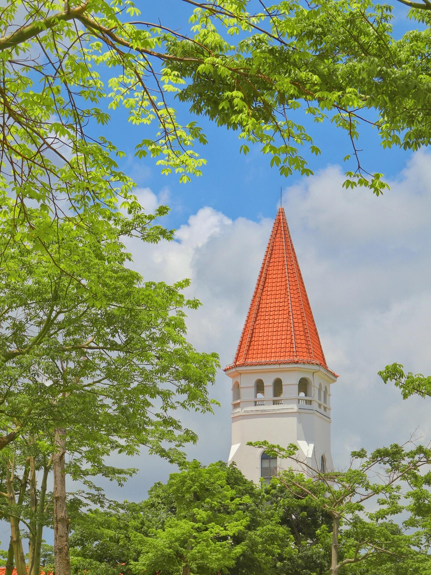 90%的人不知道,珠海最大的岛--横琴岛,除了长隆旅游外,这里更是看海