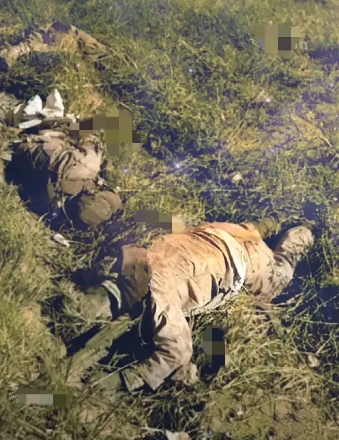 1985 年 1 月,在阵地反偷袭战斗中,一群年轻的战士英勇牺牲.