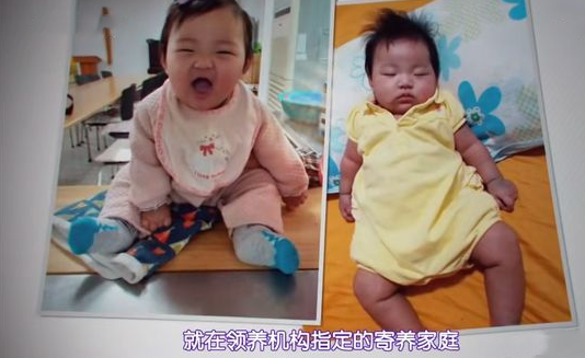 回顾被领养8个月后,她被养父母虐死,肠破骨碎,韩国郑仁案始末