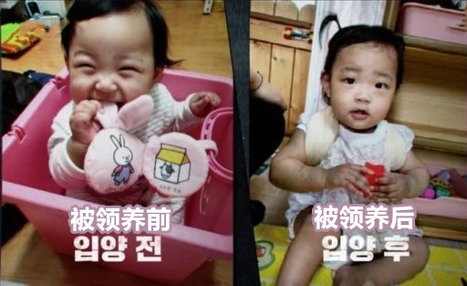 回顾被领养8个月后,她被养父母虐死,肠破骨碎,韩国郑仁案始末
