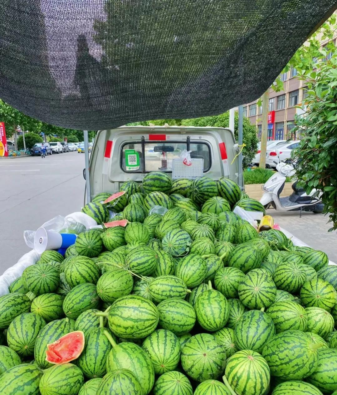 男子收了一车西瓜,大爷拿着的却是儿媳妇的收款码