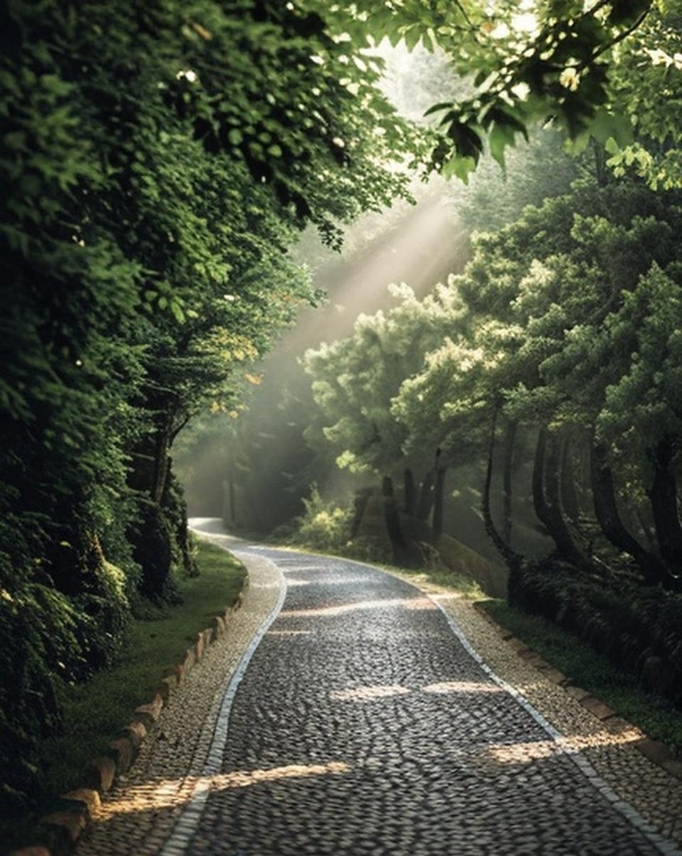 人生是一场旅行 不在乎目的地 在乎的是 沿途的风景 看风景的心情 看