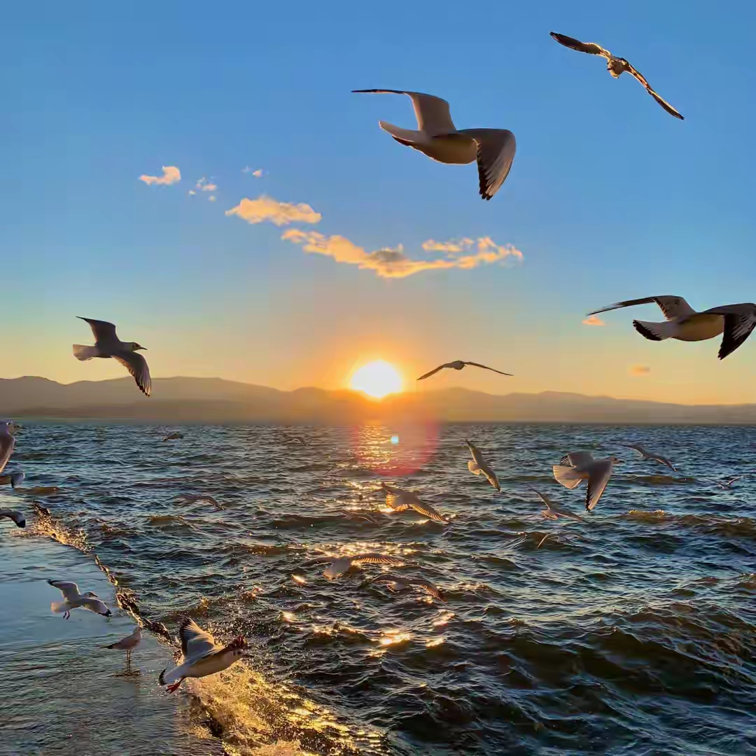 干净治愈好看的风景头像