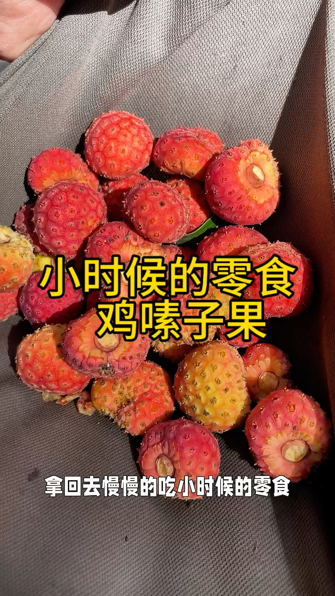 鸡爪果的药用价值图片