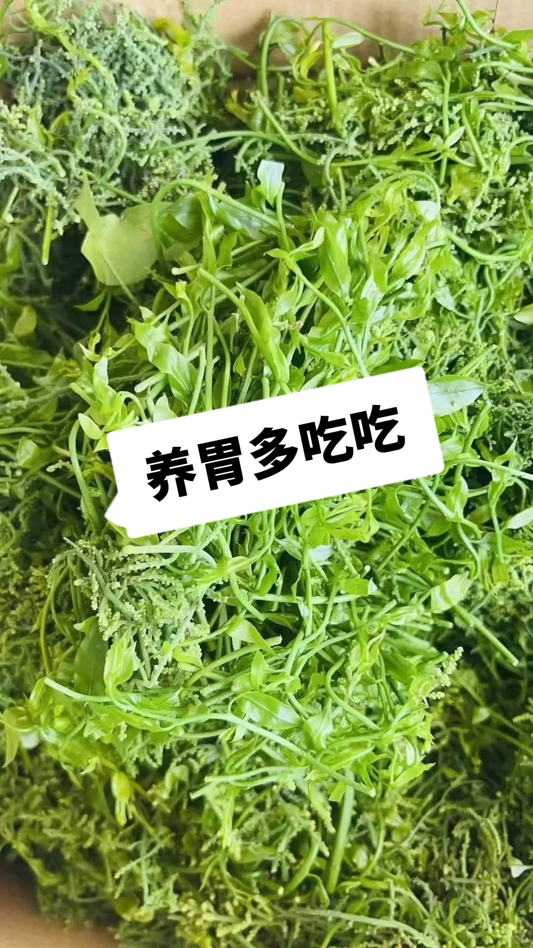 养胃不可少的3个东西,记得收好