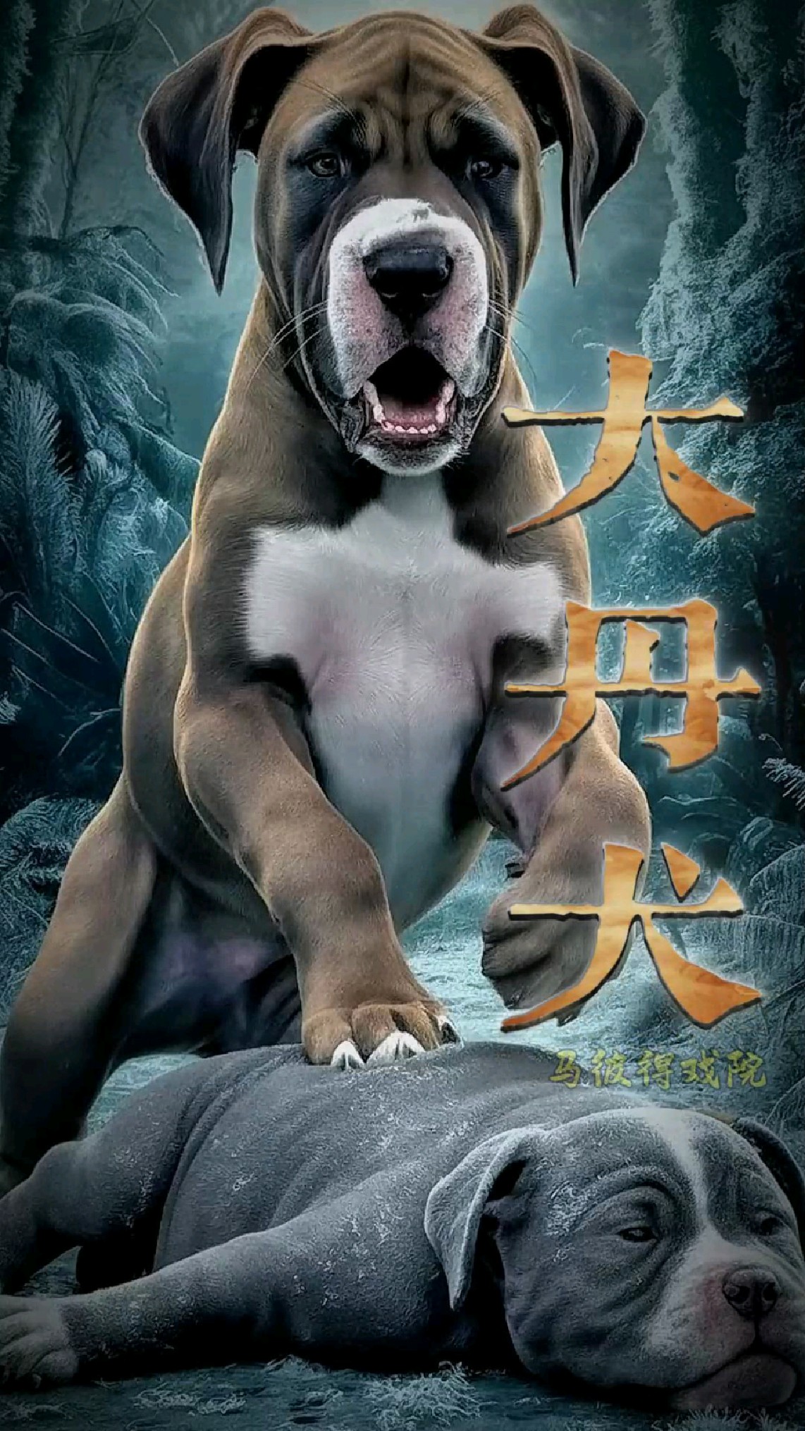 犬科三巨头图片