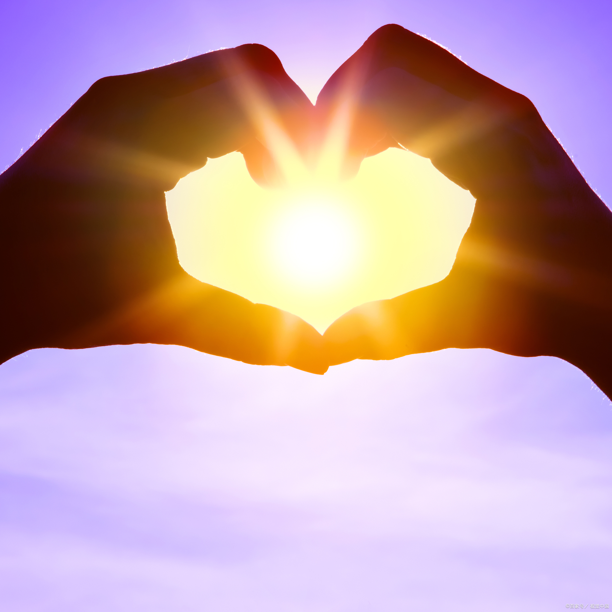 仍拥抱太阳图片