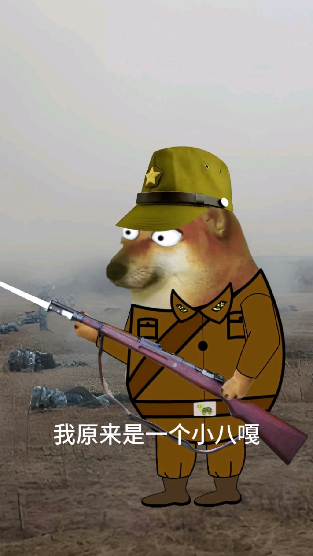 致敬英雄,那些为祖国做出贡献的岛国人