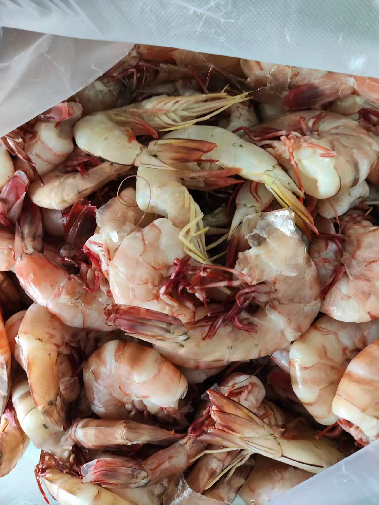 今早上去市场溜溜,看到这的铁皮虾,都100元6斤了,所以就买了100元的