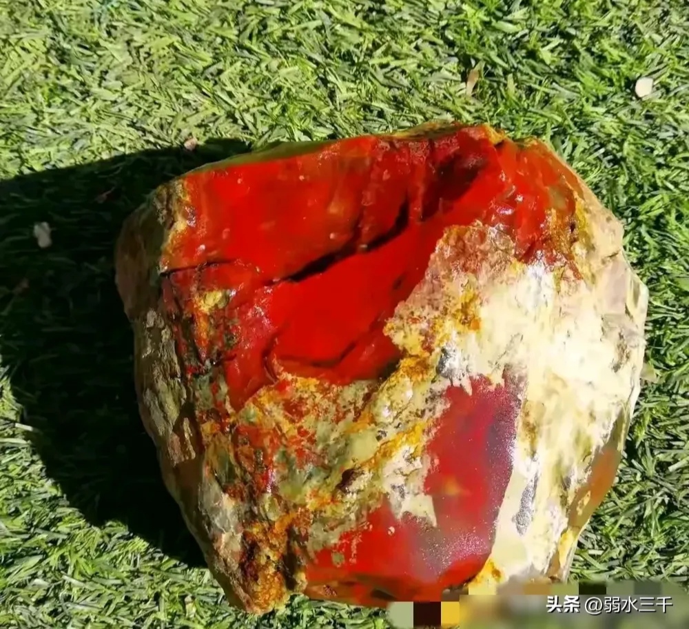 突然,发现草丛底下有一块红色的石头,于是,捡起来仔细查看,瞬间懵了!