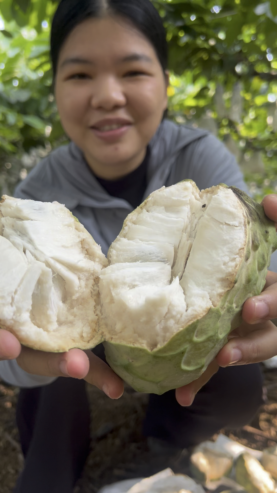 释迦摩尼果成熟后样子图片