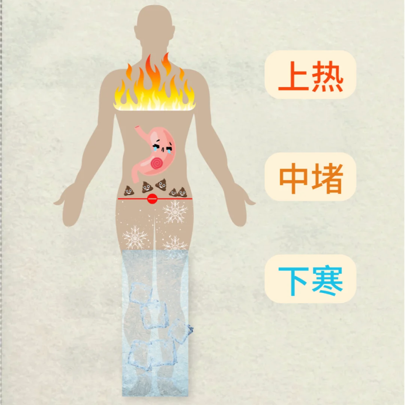 关于什么感染性疾病会低热动一下就累持续一个月的信息