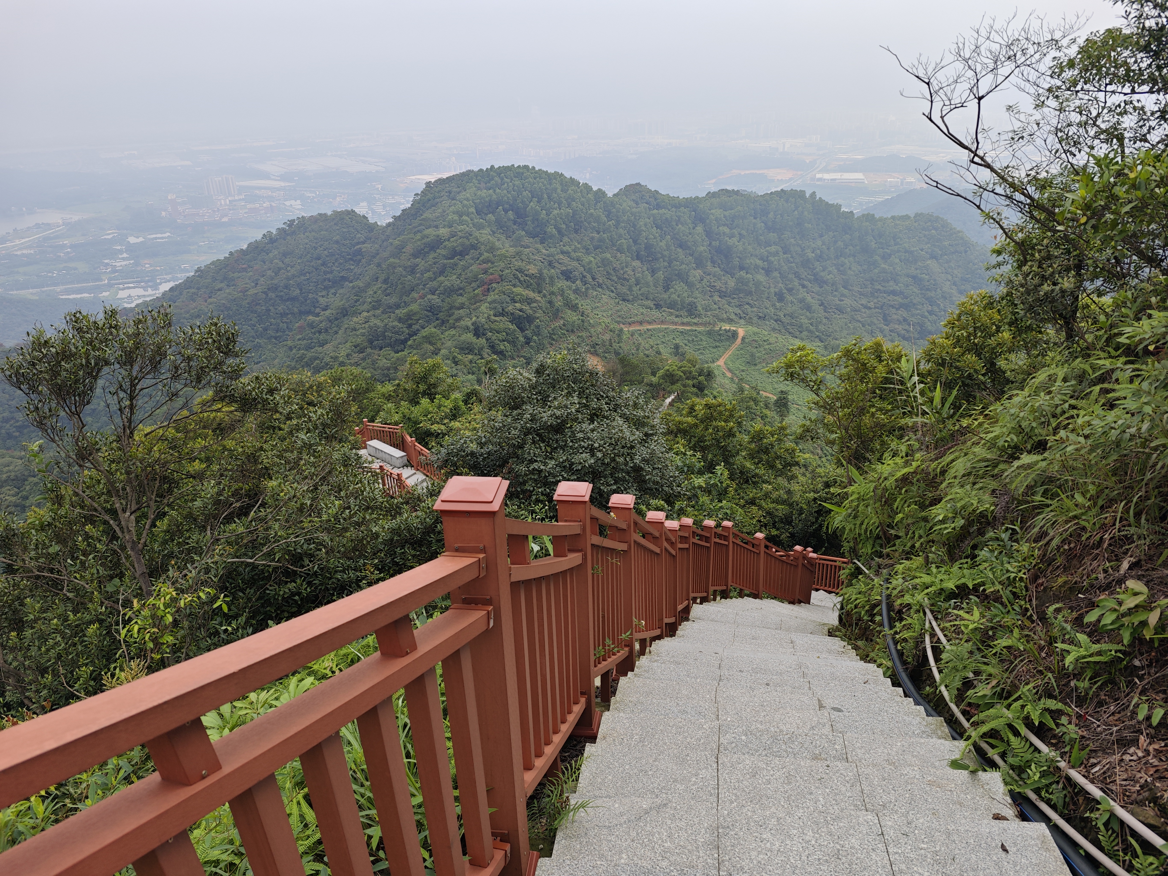 佛山大南山森林公园图片