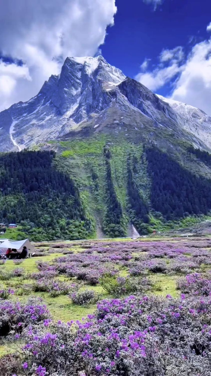 林芝:嘎瓦龙景区