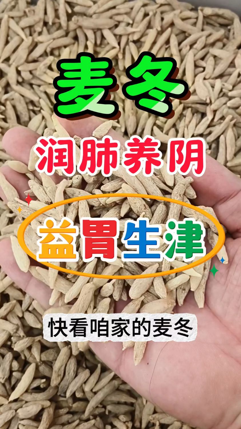 麦冬泡水喝的五大禁忌图片