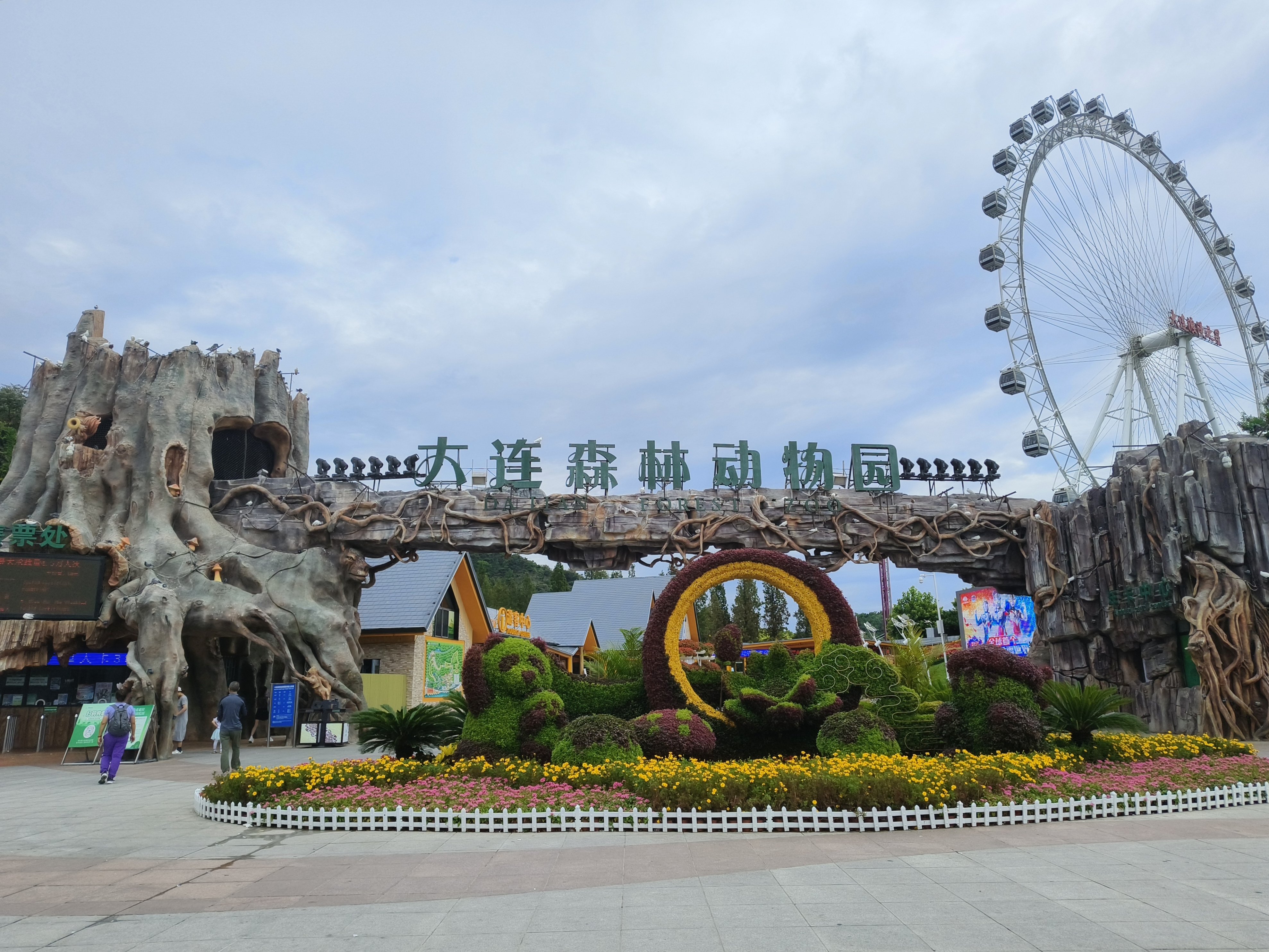 大连森林动物园里生活着三只可爱的大熊猫,人称"连动三宝",它们是飞云