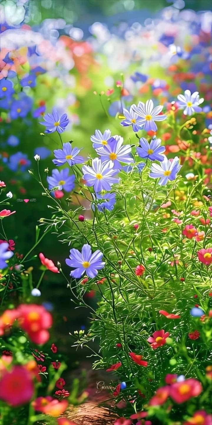 喜欢鲜花做手机屏保或壁纸的拿走#换壁纸开心#  #手机壁纸