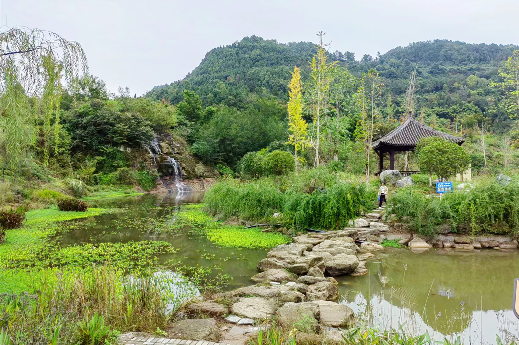 巴中九寨山
