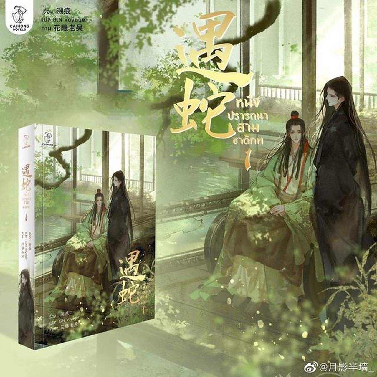 泰版遇蛇实体书封面图.