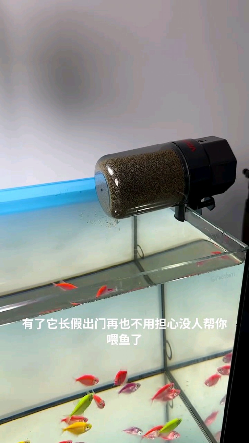 diy鱼缸自动喂食器图片