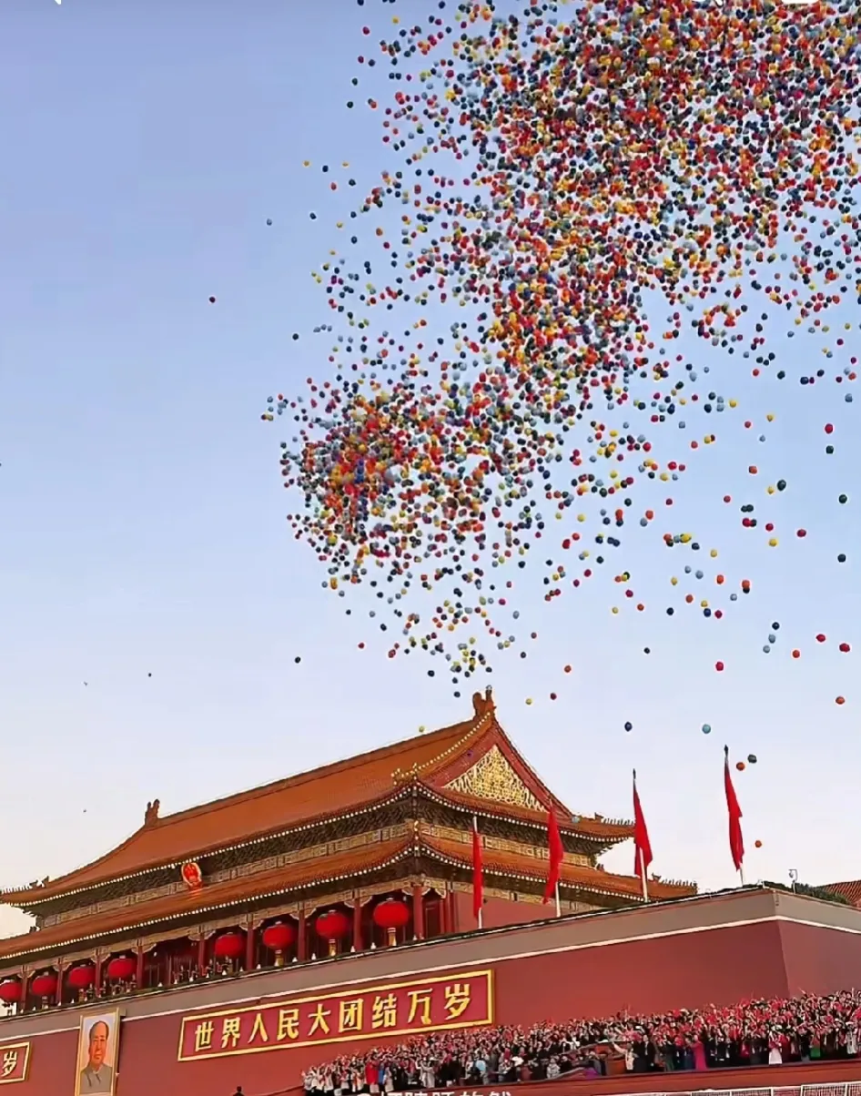 鸽子是同北京胡同大爷大妈们借的,放出来都各回各家了