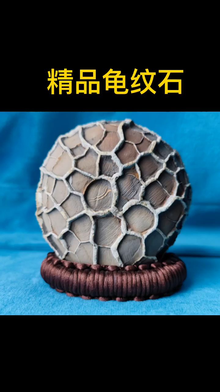 郴州龟纹石原石欣赏