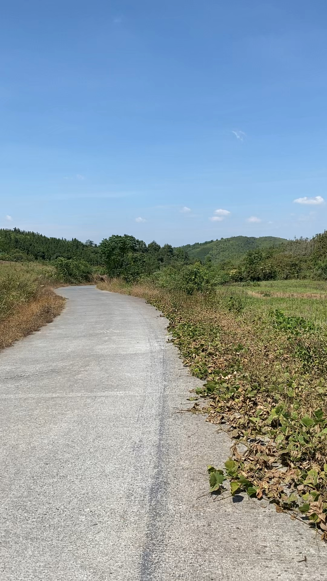 乡下的风景真实图片