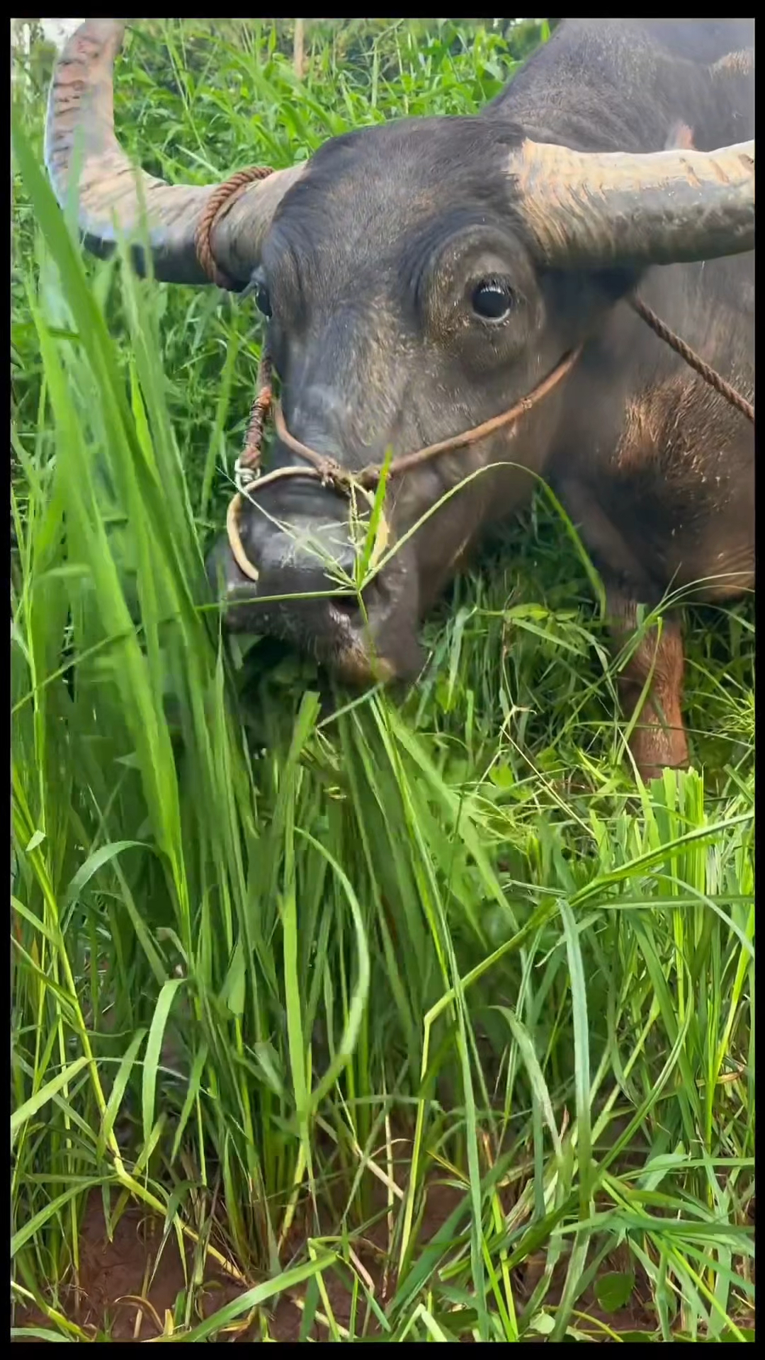 你看什么呢,看什么呢?