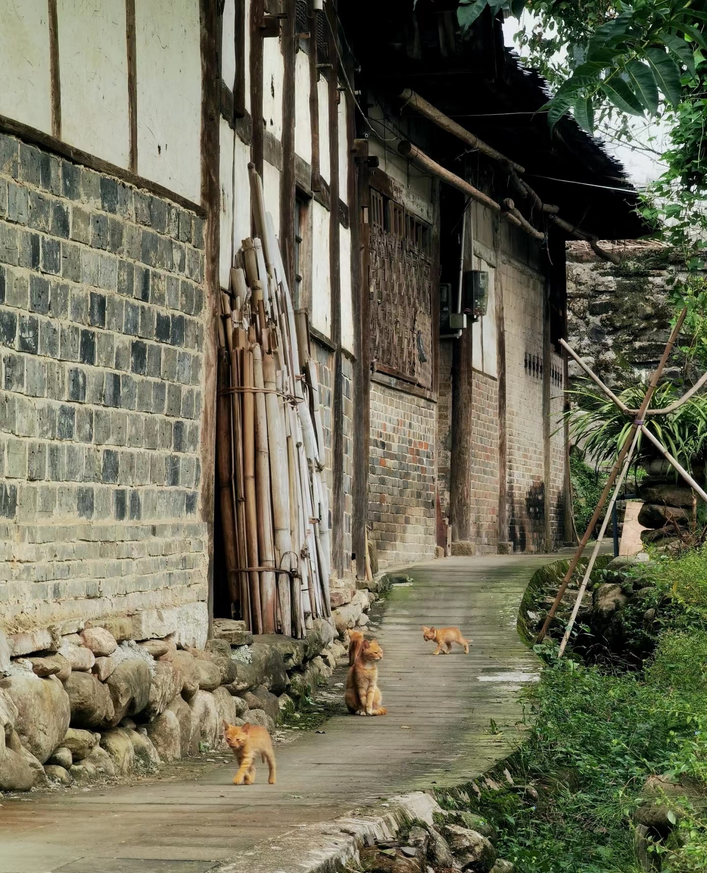 河旁的石头寨因为曾经这里居住的是姓蔡的人比较多所以也叫蔡河坝